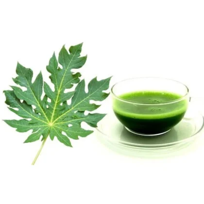 Papaya Leaf Tea Bag image 5